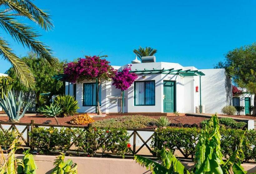 스탠다드 방갈로, HL Club Playa Blanca