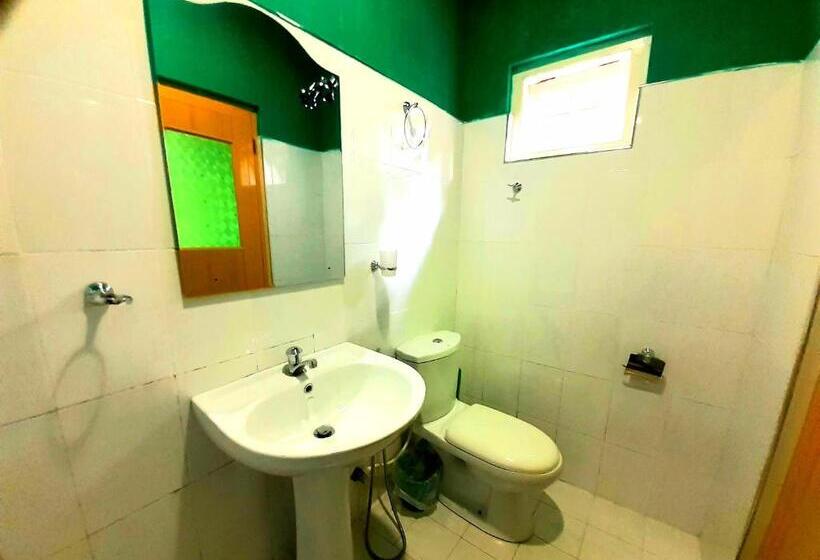 Номер Deluxe, Green Lantern