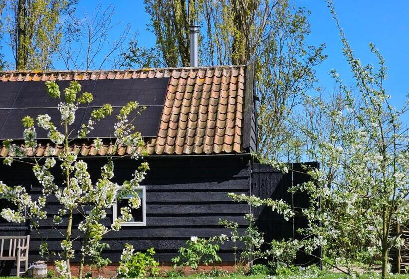Номер Стандарт, De Zeeuwsche Hoeve