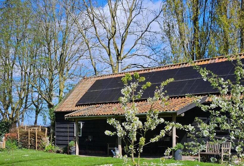 Номер Стандарт, De Zeeuwsche Hoeve