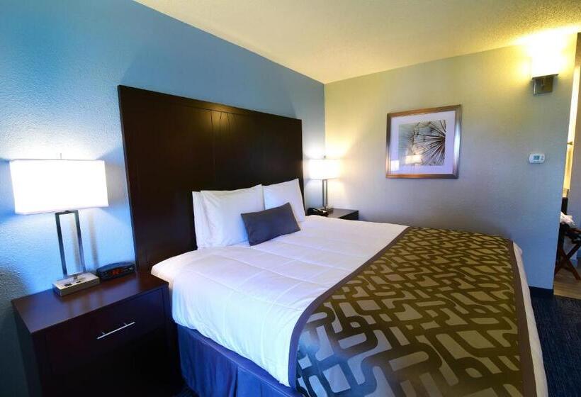 适合残疾人使用的标准间, Best Western Plus Flint Airport Inn & Suites
