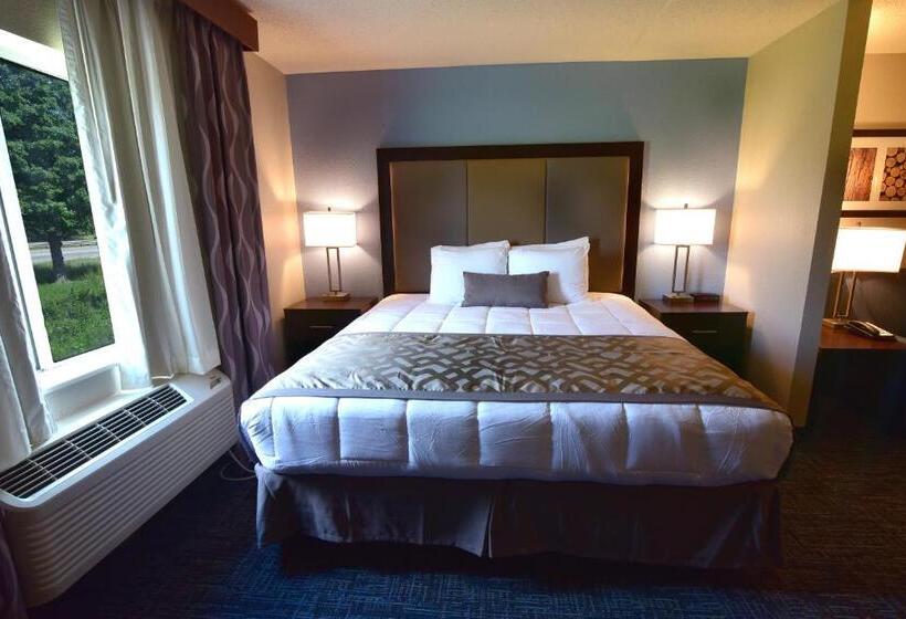带大床的套房, Best Western Plus Flint Airport Inn & Suites