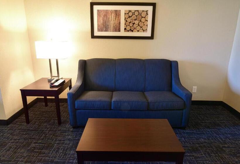 套房, Best Western Plus Flint Airport Inn & Suites
