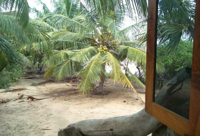 Номер Economy, Light House Beach Hut
