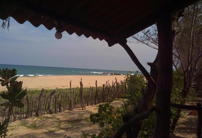 Номер Стандарт Индивидуальный, Light House Beach Hut