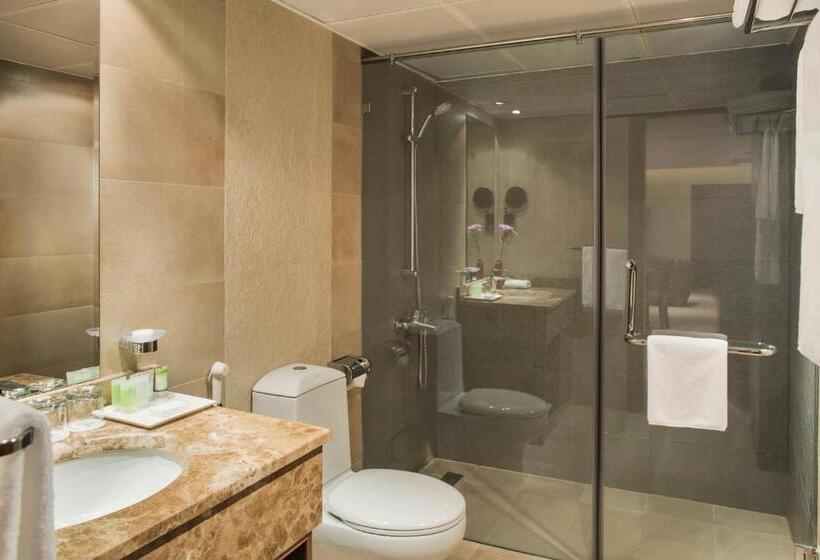 سوئیت خانواده 2 خوابه, The Palms Beach Hotel And Spa