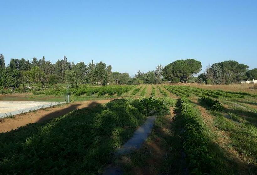 Стандартный Номер Кровать Кинг, Azienda Agricola I Peperoncini