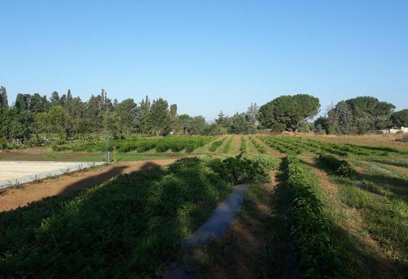 Трехместный Номер Deluxe, Azienda Agricola I Peperoncini