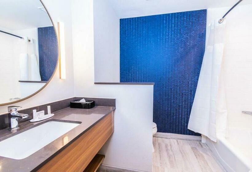 Стандартный Номер Кровать Кинг, Fairfield Inn & Suites By Marriott Houston League City