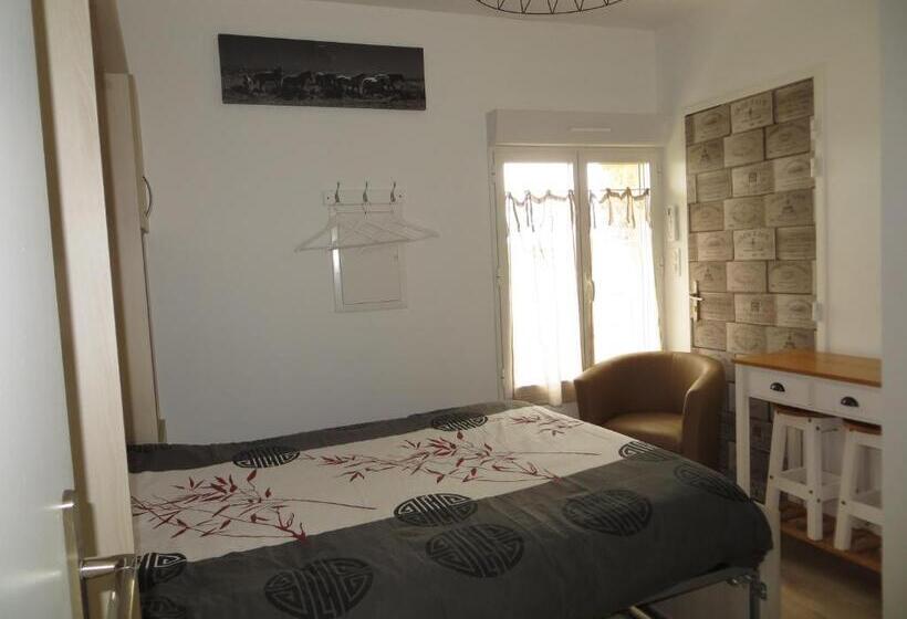 Студия Стандарт, Les Studios Hôtel De Sommières