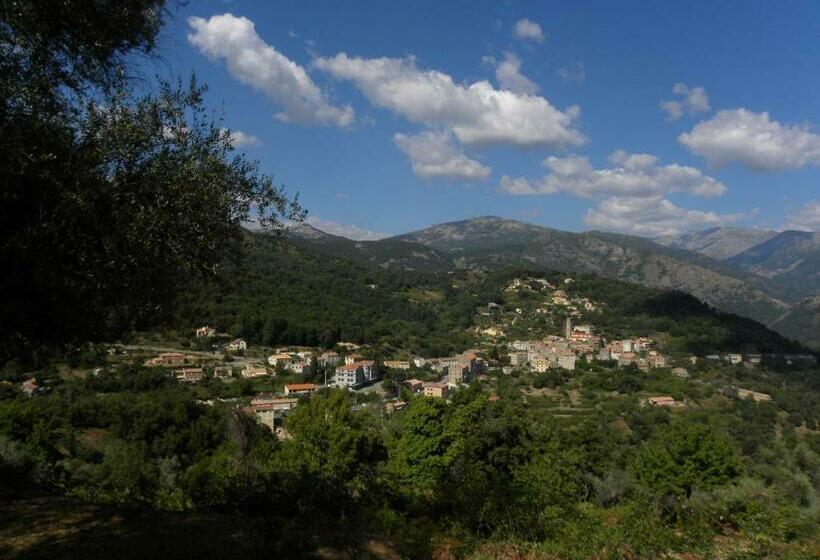 Номер Стандарт, Domaine U Bugnu