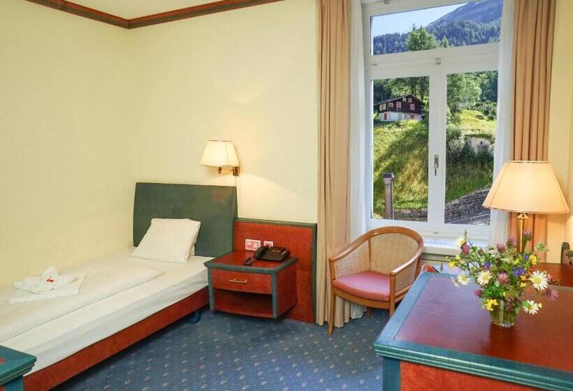 Номер Deluxe Одноместный, Thermal Hotels & Walliser Alpentherme Leukerbad