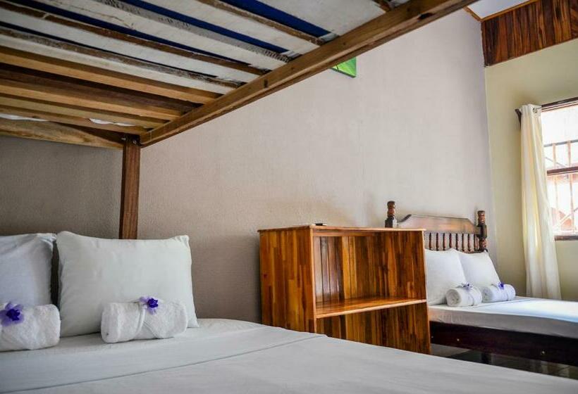 家庭间, Cabinas Coco Alegre
