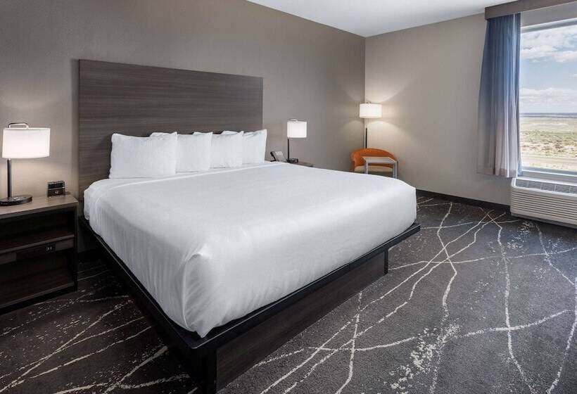 Люкс Адаптированный для Инвалидов, La Quinta Inn & Suites By Wyndham Holbrook Petrified Forest