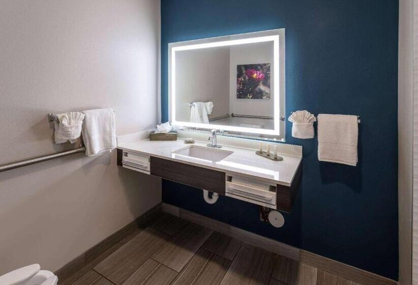 Стандартный Номер Кровать Кинг, La Quinta Inn & Suites By Wyndham Holbrook Petrified Forest
