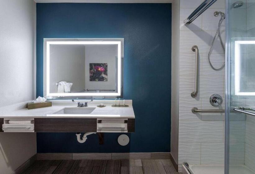Номер Стандарт Адаптированный для Инвалидов, La Quinta Inn & Suites By Wyndham Holbrook Petrified Forest