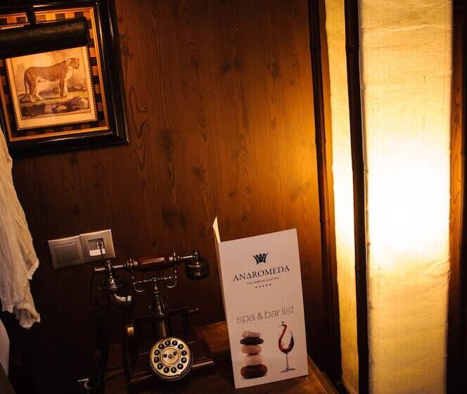 اتاق لوکس, Andromeda Hotel Thessaloniki