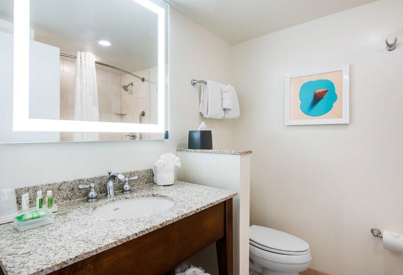 Standard-huone Parivuode, Holiday Inn Orlando – Disney Springs™ Area, An Ihg