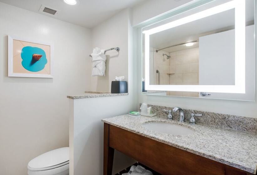 Standard-huone Parivuode, Holiday Inn Orlando – Disney Springs™ Area, An Ihg