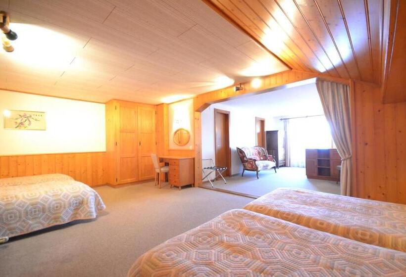 Appartement 1 Chambre, Hôtel Ecureuil Villars