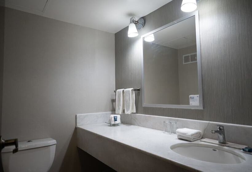 ダブルベッドのクラシックルーム, Four Points By Sheraton Saltillo