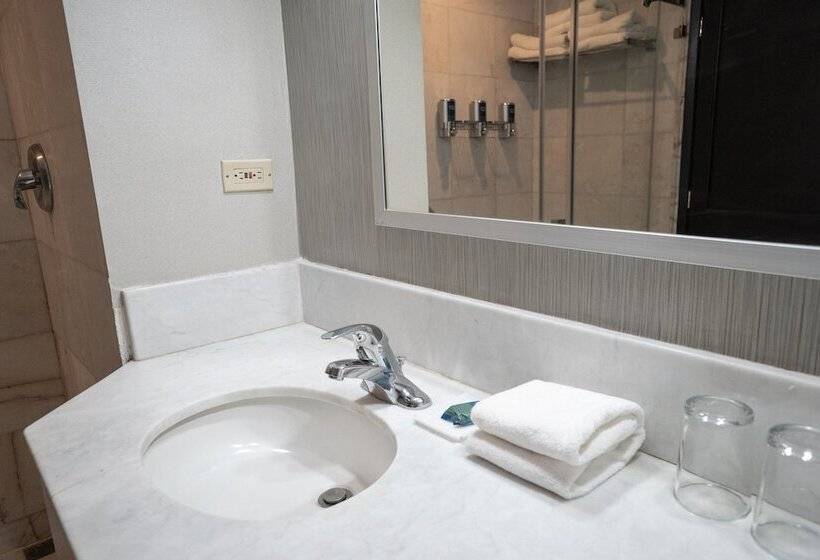 デラックスルーム, Four Points By Sheraton Saltillo