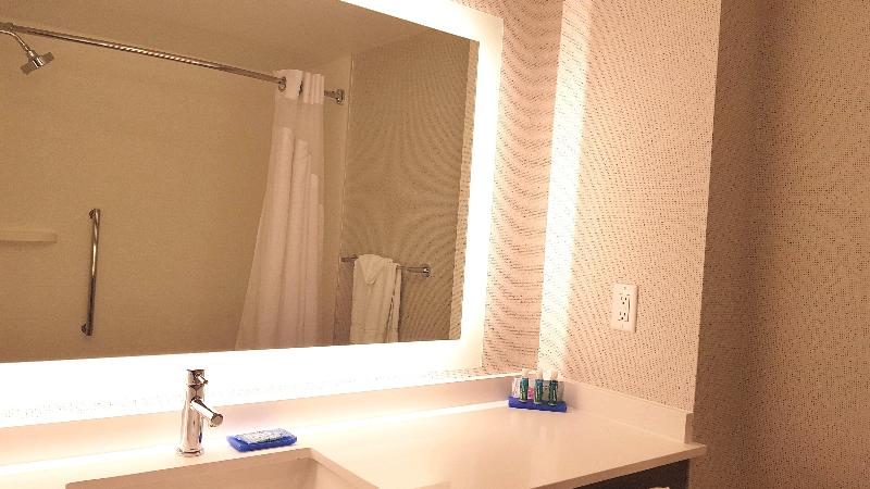 اتاق استاندارد با تخت بزرگ, Holiday Inn Express And Suites Surrey, An Ihg
