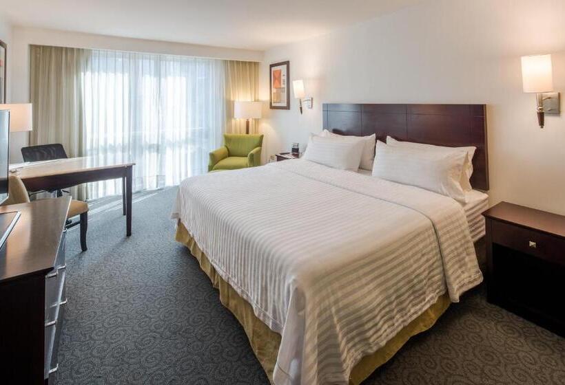 اتاق استاندارد با تخت بزرگ برای معلولان, Holiday Inn Monterrey Valle, An Ihg