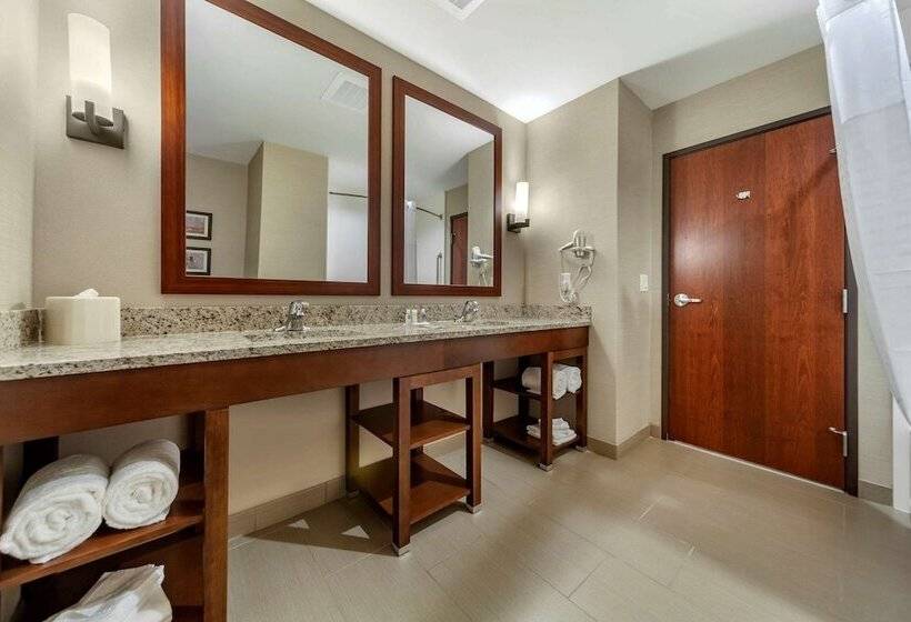 Номер Стандарт Адаптированный для Инвалидов, Comfort Suites