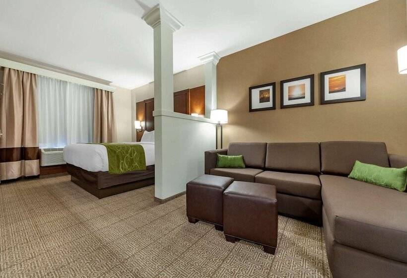 Люкс Адаптированный для Инвалидов, Comfort Suites
