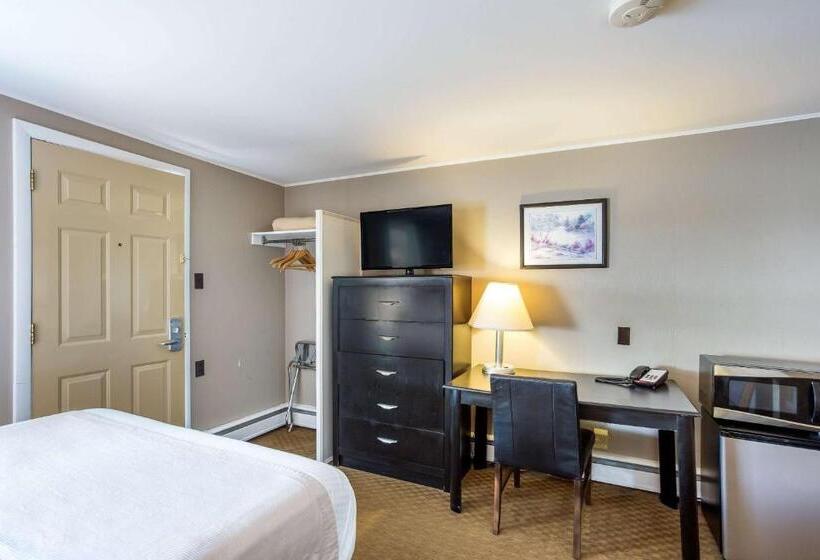 标准间, Rodeway Inn
