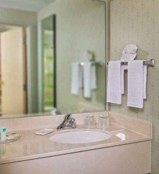 Люкс Кровать Кинг, Springhill Suites Charlotte University Research Park