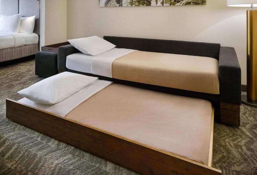 Номер Стандарт 2 Двуспальные Кровати, Springhill Suites Charlotte University Research Park