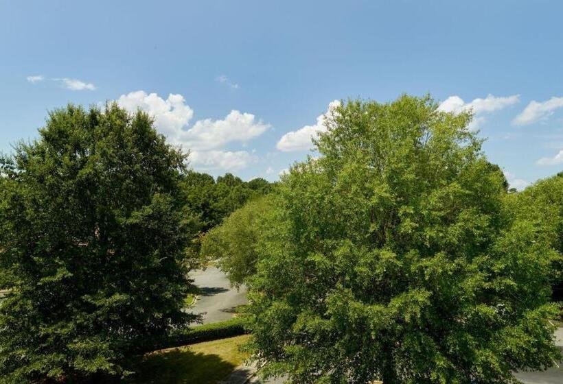 Стандартный Номер Кровать Кинг, Springhill Suites Charlotte University Research Park