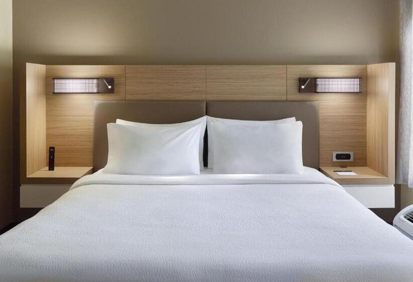 Стандартный Номер Кровать Кинг, Springhill Suites Charlotte University Research Park