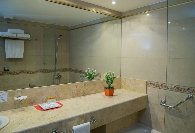 수피리어 싱글 룸, King David Flat Hotel   Argentina
