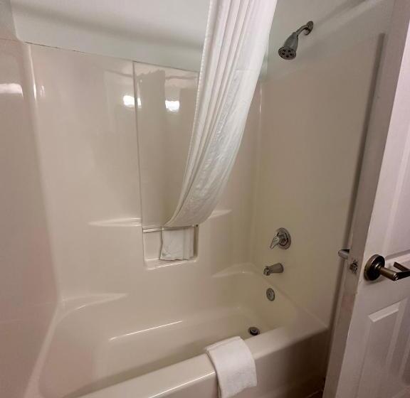 스탠다드 룸 킹사이즈 침대, Summerville Park Inn