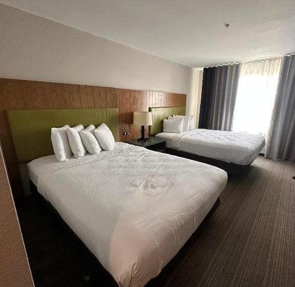 스탠다드 룸, Summerville Park Inn