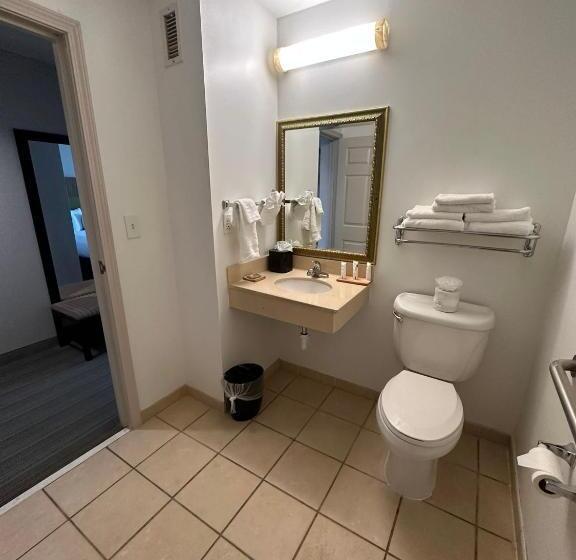 장애인을 위한 스탠다드 룸, Summerville Park Inn