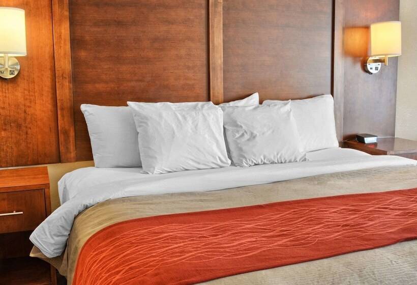 Люкс Адаптированный для Инвалидов, Comfort Inn Ruther Glen Near Kings Dominion