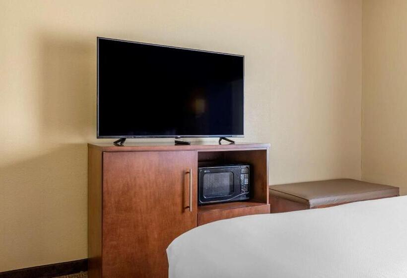 Номер Стандарт Кровать Кинг Адаптированный для Инвалидов, Comfort Inn & Suites Statesboro  University Area