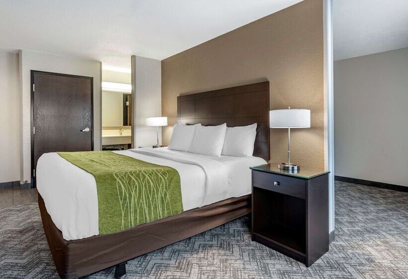 Люкс Кровать Кинг, Comfort Inn & Suites Tualatin  Lake Oswego South