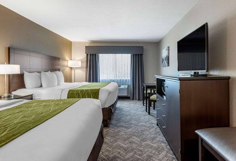 Номер Стандарт, Comfort Inn & Suites Tualatin  Lake Oswego South