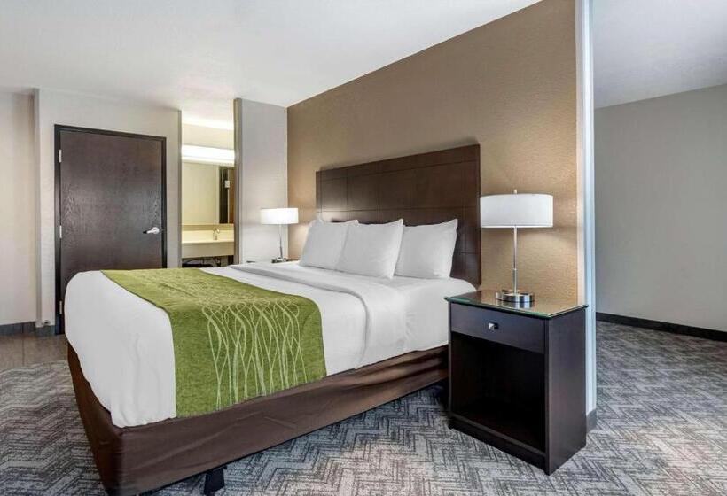 Люкс Кровать Кинг, Comfort Inn & Suites Tualatin  Lake Oswego South
