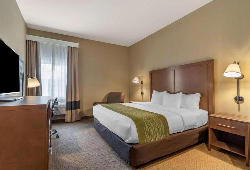 Стандартный Номер Кровать Кинг, Comfort Inn Warrensburg Station