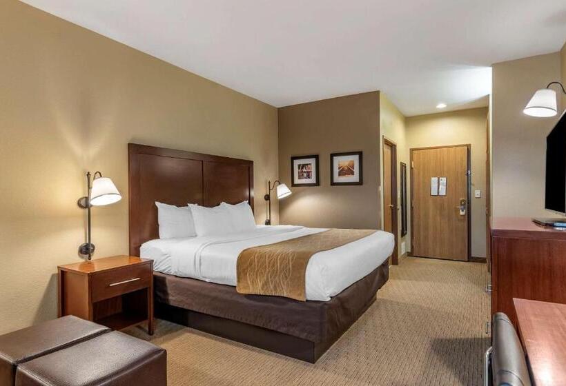 Номер Deluxe Кровать Кинг, Comfort Inn Warrensburg Station