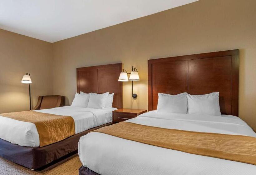 Номер Стандарт, Comfort Inn Warrensburg Station