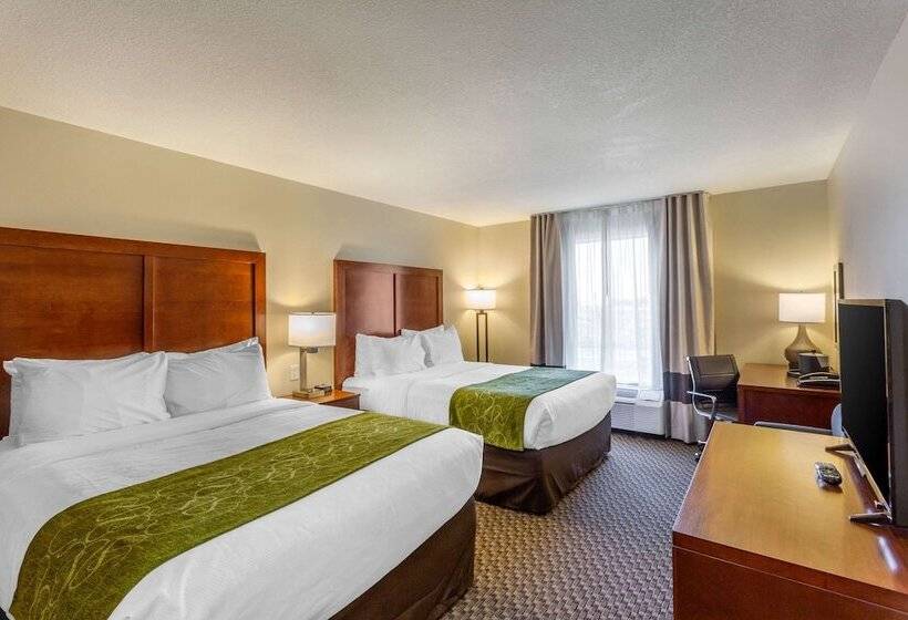 Номер Стандарт 2 Двуспальные Кровати, Comfort Inn & Suites Logan Near University