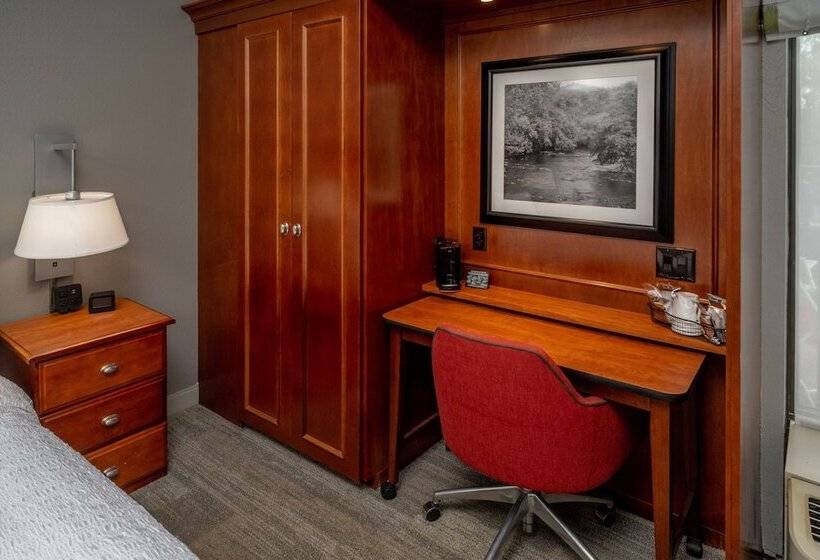 스탠다드 룸 더블 침대 2개, Hampton Inn Charlestondowntown