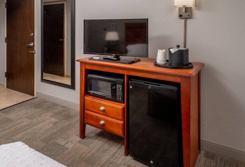장애인을 위한 스탠다드 룸, Hampton Inn Charlestondowntown